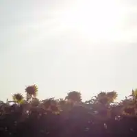 飲み飯友 相模大野/海老名/町田 友達いないけど集まりたい