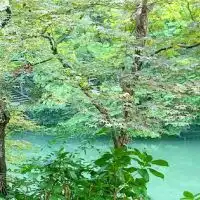 自分らしさを発見しちゃおう❗オープンチャット