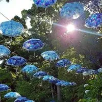 ～ソレイユ～霊感タロット占い土星王管理