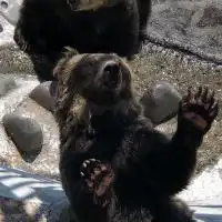 自粛解除からの楽しみ方