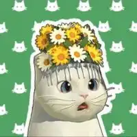 【公式】にゃんこリゾートのつどい
