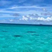 ダブルぴーすゴミ拾いの輪を広げよう