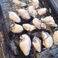 💓川崎💓40代50代60代、飲み友、ランチ、カラオケ&雑談