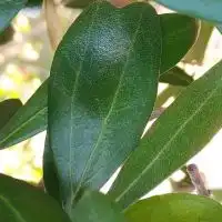 小豆島移住ママの会〜育児疲れや日頃の愚痴(主に旦那関連)をぶちまけよう〜