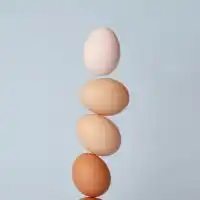生活クラブ厚別