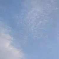 のら猫限定♪きままに生きてるようで、頑張ってる！