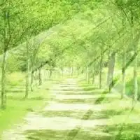 ネット版自助グループ