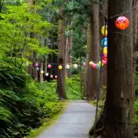 津軽と神社仏閣をめぐる癒し旅