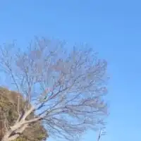 お告げ情報交流#中間生＃天＃神＃神社＃宇宙#スピリチュアル#前世#数秘