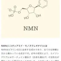 全てのNMNサプリ体験談雑談💖