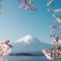 ほし星のうみ海です