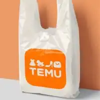 TEMU(ティームー)おすすめ商品情報交換