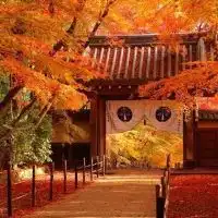 和洋折衷コーデ自由に始める会🍵