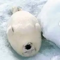 筋トレ＆プロテインダイエットで 一緒に痩せませんか？
