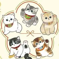 ぢゅのさん推し(mofusand)(サメにゃん)