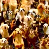 理系生物おたくの部屋