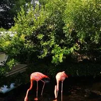 理系生物おたくの部屋