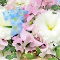 英語初心者～中級者限定。気軽にご訪問下さい　English learners!