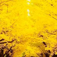 🌈✨まほろば✨🌈スピリチュアルで遊びながら霊性を高めよう♫