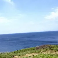 選挙に行こう!! 政治の話し、してみる会。お勧め報道番組を観ながら意見交換、情報交換しましょうの部屋