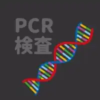 PCR検査について
