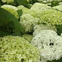 🌸介護で働く人達の部屋🌼