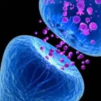 生物学部屋(MPchat系列)
