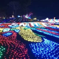 🌸介護で働く人達の部屋🌼