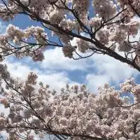 調剤薬局事務、勉強仲間募集‼︎