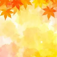 *⋆꒰ঌ┈介護のお部屋┈໒꒱⋆*