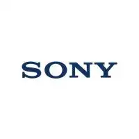 23卒 SONY 志望者