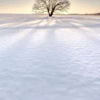 障害を持ちながら働く『未来』