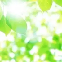 双極性障害・鬱病もち教員のための雑談部屋