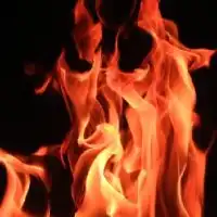 FIRE 経済的に自立して早期リタイアを目指す