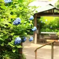 清瀬高校39期生
