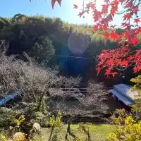 静大弓道部　新歓2021 座談会