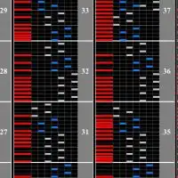 音ゲーゴリラを目指す弐寺erの集まり