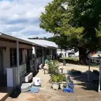 いちょう応援隊　サポートサークル
