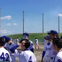 東北大学軟式野球部新歓2022