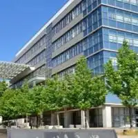 関西松の実会