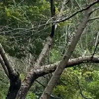 山梨の高校集まれ!!