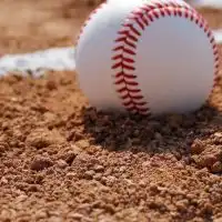 本郷中3野球部保護者連絡網