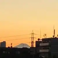 荒木町　ふじ波