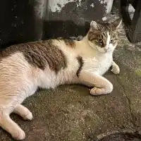 名古屋ジーグループ