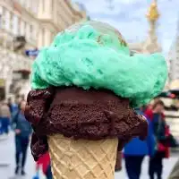 チョコミン党集まれ🙋🏻‍♂️🙋🏻‍♀️