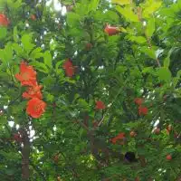 菜食が好き♪情報交換専用