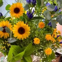 ☘️女性限定   親の介護を行っている独身女性の癒しの部屋☘️