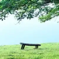 不安な人の休むベンチ