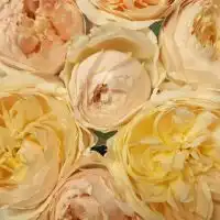 子宮体がん★正しい知識で支え合お！