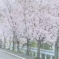 癌患者の集い
